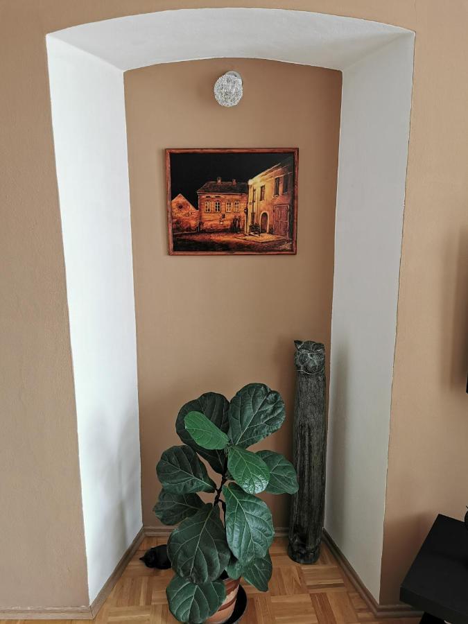 Apartman Antoninska زنويمو المظهر الخارجي الصورة