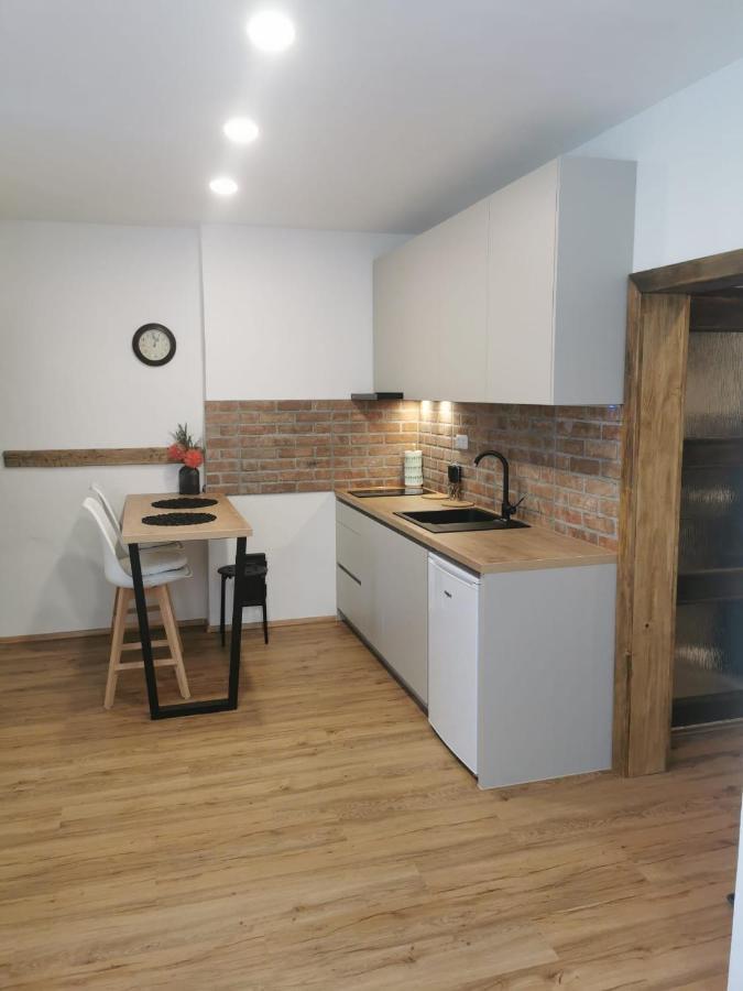 Apartman Antoninska زنويمو المظهر الخارجي الصورة
