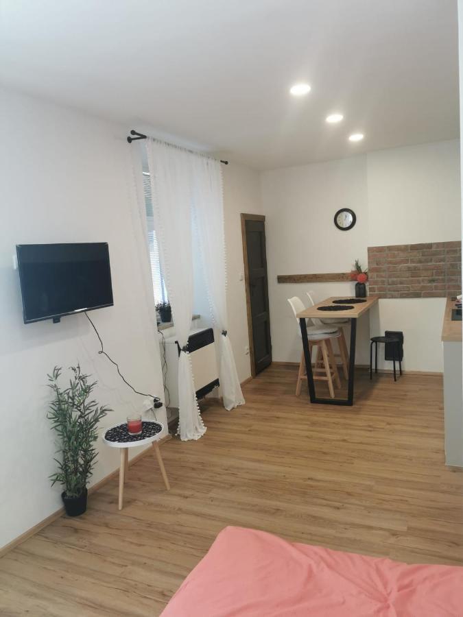 Apartman Antoninska زنويمو المظهر الخارجي الصورة